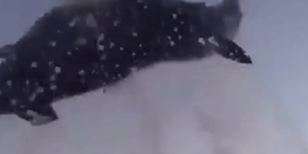 Gerçekten korkmalı mıyız? ‘Bu adil savaşa benzemiyor’