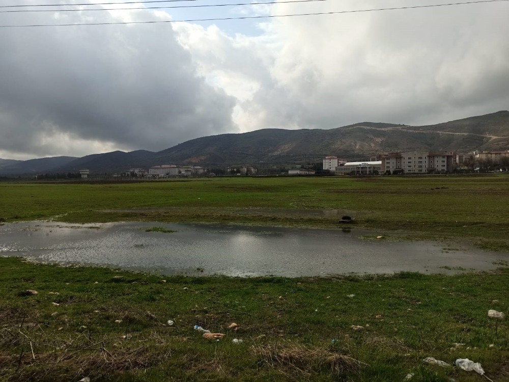Gercüş’te aşırı yağış ekili alanları vurdu 
