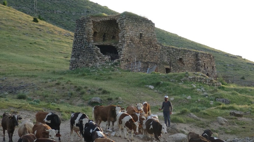 Gercüş’te asırlık kasr ilgisizlikten dökülüyor 