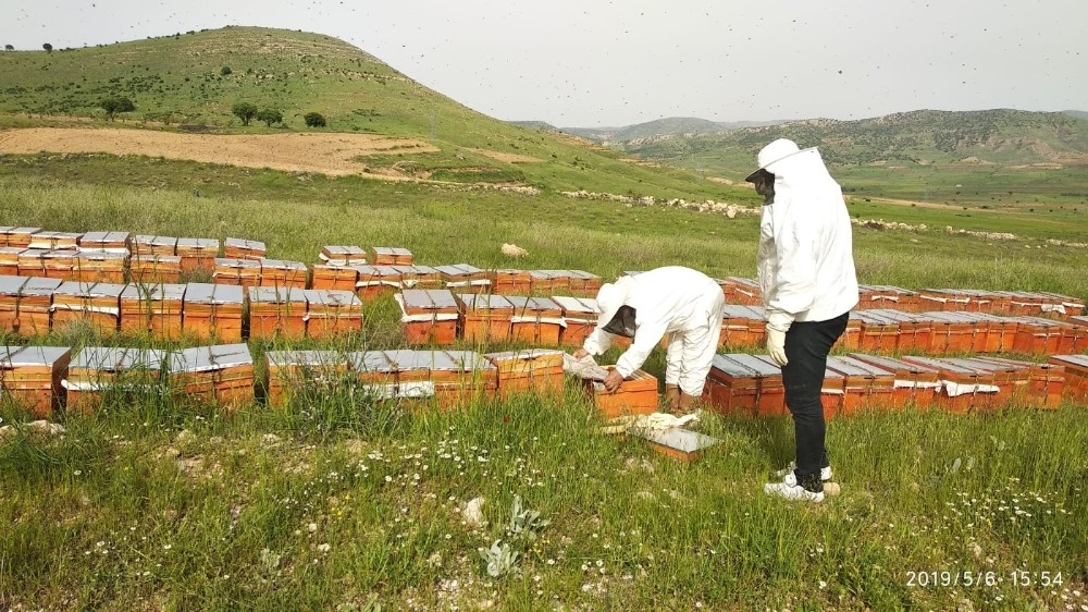 Gercüş’te çiftçilere arı kovanı dağıtıldı 