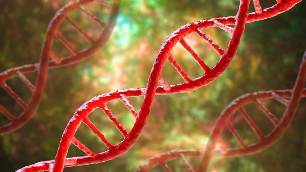 Geri kayan kamyonet binaya ve araçlara çarptı!