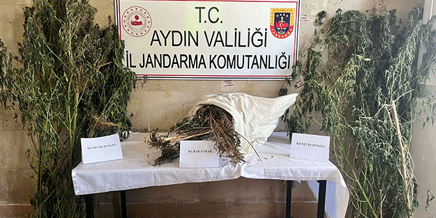 Germencik'te uyuşturucu operasyonu