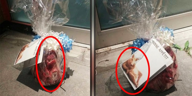 Gevurlar yine saldırdı! Kanada'da Cami'ye aşağılık saldırı