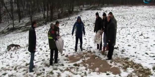 Geyikler için Belgrat Ormanı’na yem bırakıldı