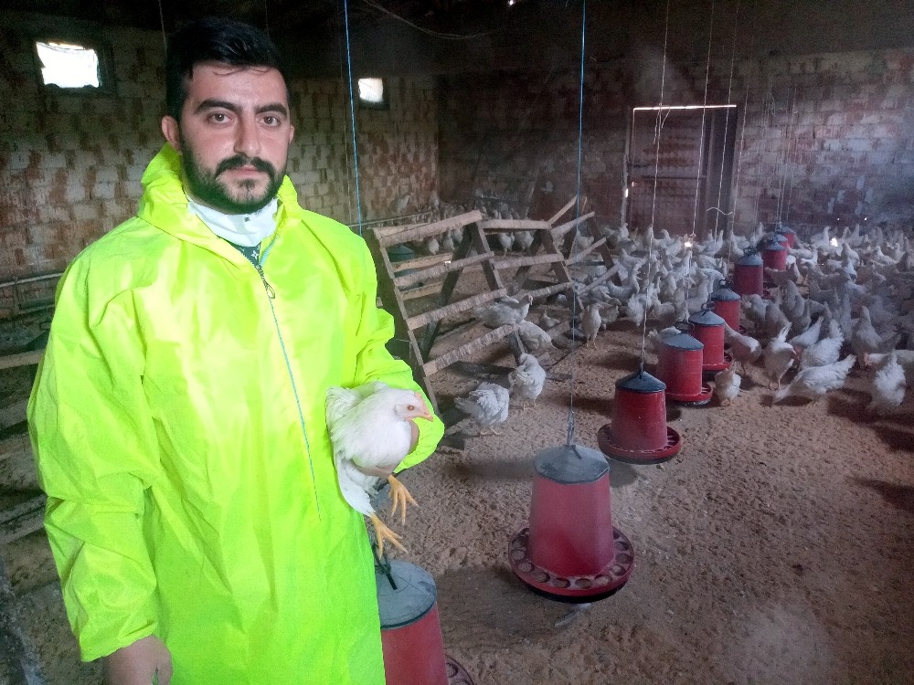 Gezen tavuk yumurtası üreticinin yüzünü güldürüyor 