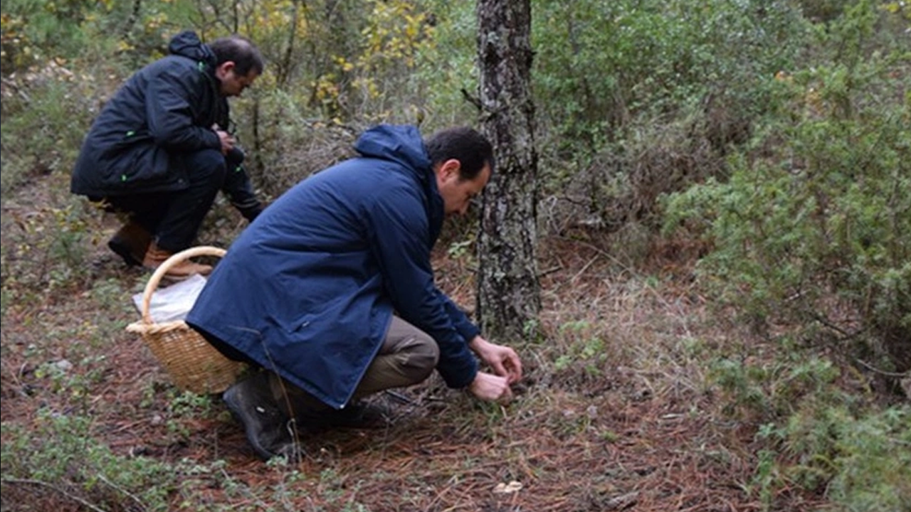 Gezerek 3 saatte 5 bin lira kazanıyorlar!
