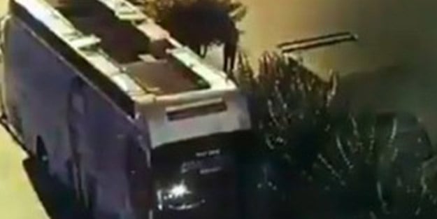 Gezi Parkı için ortalığı yakıp yıkmışlardı! İmamoğlu için ağaçları köküyle götürdüler