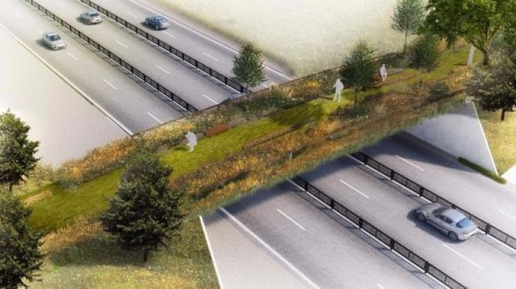 Gezi Parkı’na ekolojik yaya köprüsü