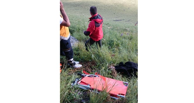 Gezintiye çıkan aileye ayı saldırısı: 2 ölü 2 yaralı