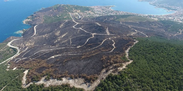 Gezizekalılar bakın iyi bakın! İzmir’in yanan ormanları yeşillendi