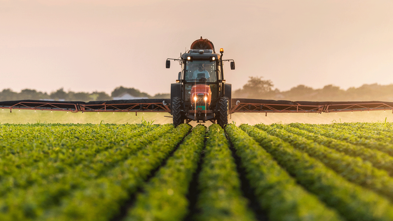 Gıda arz güvenliği sağlanacak! Suriye ile yol haritası hazır