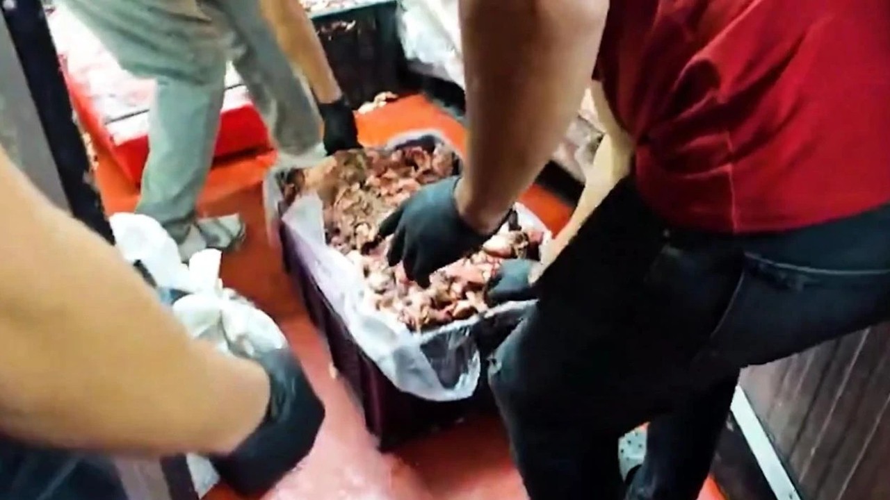 Gıda denetiminde 1316 kg uygunsuz ürün imha edildi