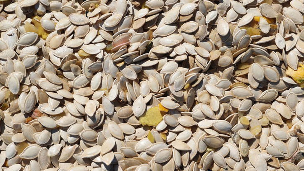 Gıda güvenliği alarmı! Kabak çekirdeği ve zencefiller toplatıldı