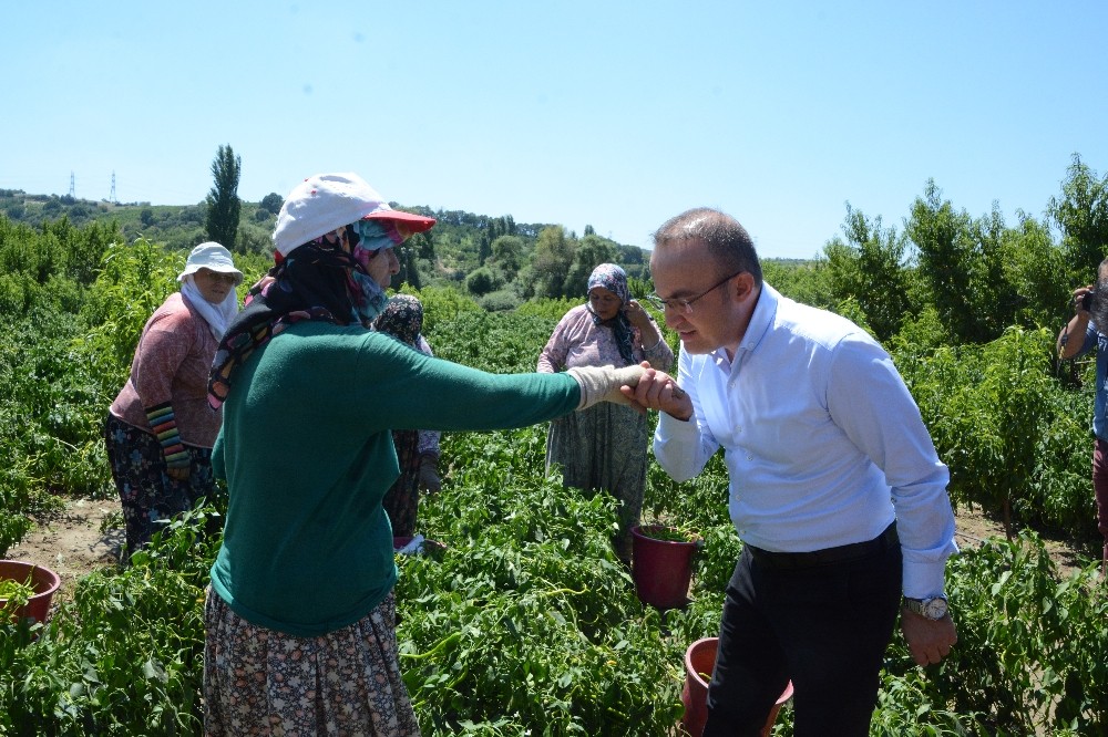 Gıda OSB hem üreticinin hem tüketicinin yüzünü güldürecek 