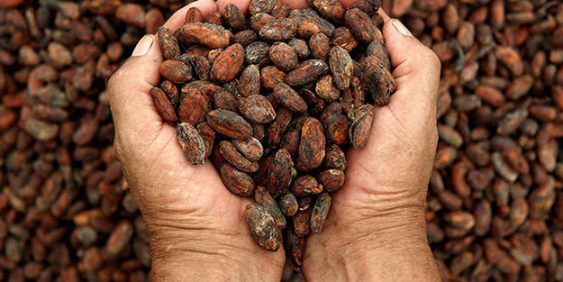 Gıda ürünü altın fiyatlarını geride bıraktı!