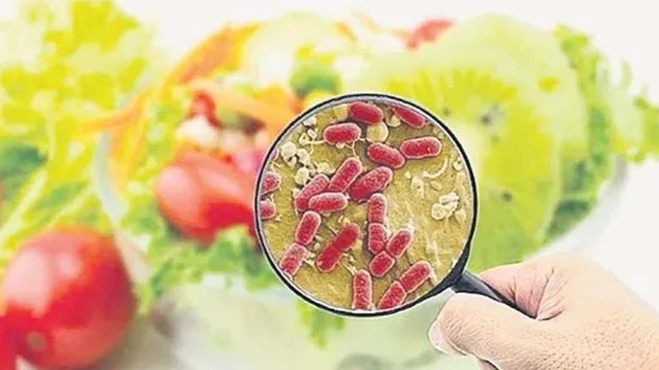 Gıda zehirlenmeleri: Et ya da konserveler adeta zehir var! Vücut dengesini bozuyor