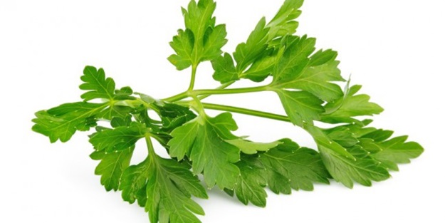 Gıdaları doğru şekilde tüketin!