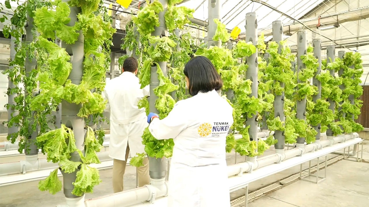 Gıdamızı TENMAK koruyor