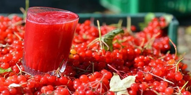 Gilaburu suyu böbrek için bire bir