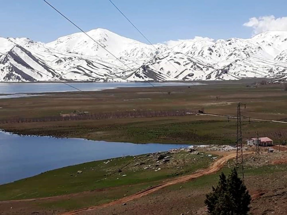 Girdev Gölü’nde binlerce balık telef oldu 