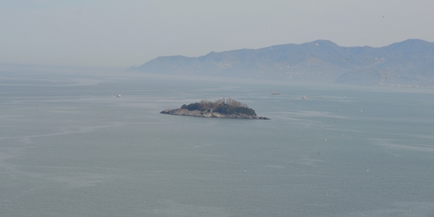Giresun Adası'na mitolojik yolculuk başlatılıyor
