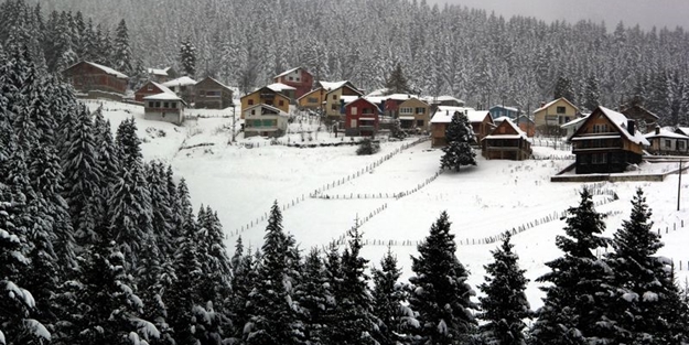 Giresun ilgi odağı oldu! Gruplar halinde gidiyorlar