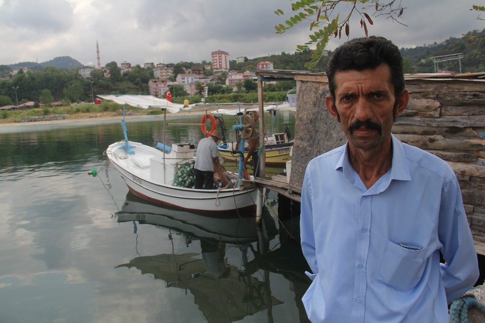 Giresun Piraziz Su Ürünleri Kooperatifi Başkanı Hamdi Arslan: 