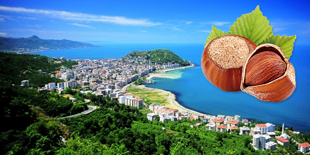 Giresun ve Ordu dünyayı korkutuyor