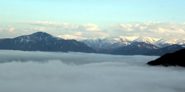 Giresun yaylaları görenleri büyüledi