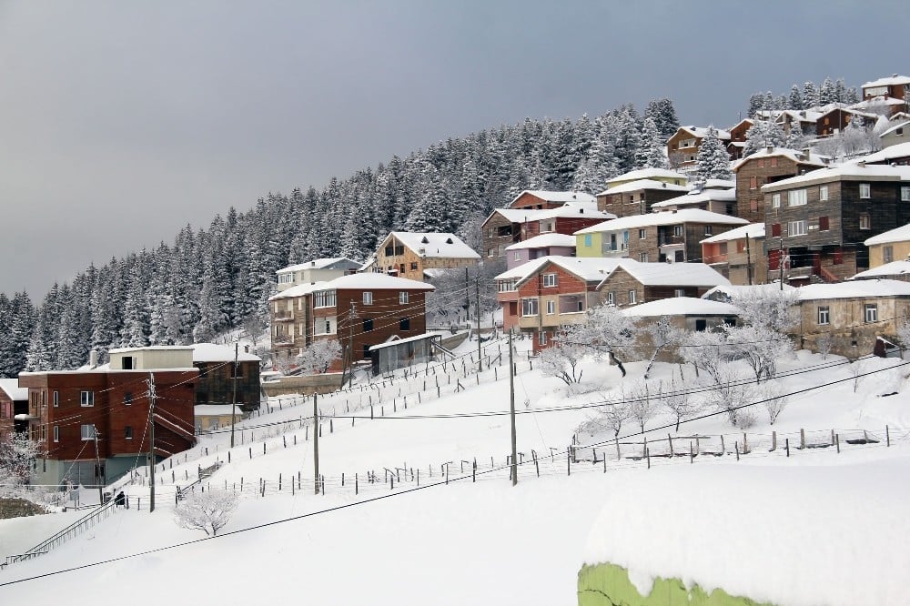 Giresun yaylalarında kar keyfi 