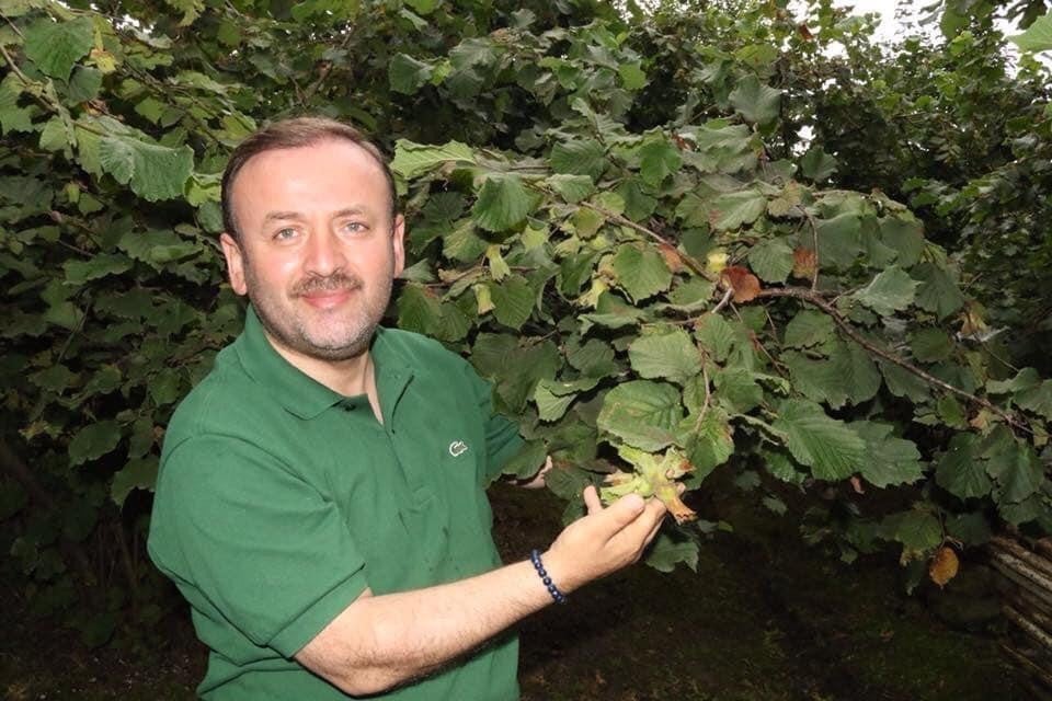 Giresun’a fındık müzesi için yer tespiti yapıldı 