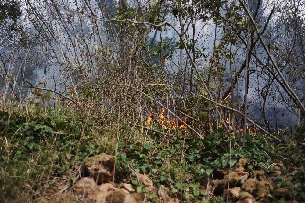 Giresun’da 4 noktada örtü yangınları devam ediyor 