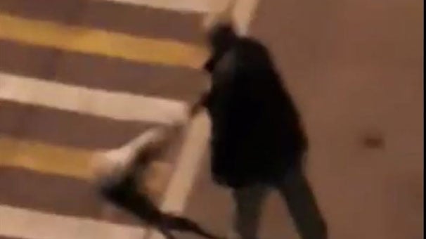 Giresun’da bir kişi baygın köpeği otoyola attı