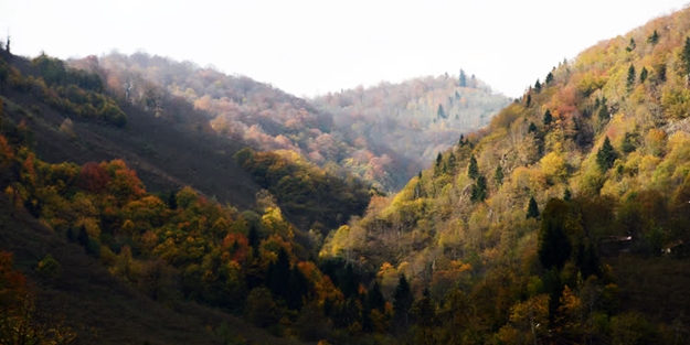 Giresun'da büyüleyen görüntü!
