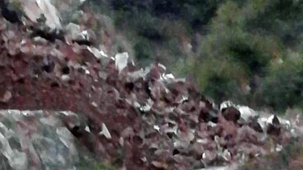Giresun'da dehşet! Kayaların altında kaldı...