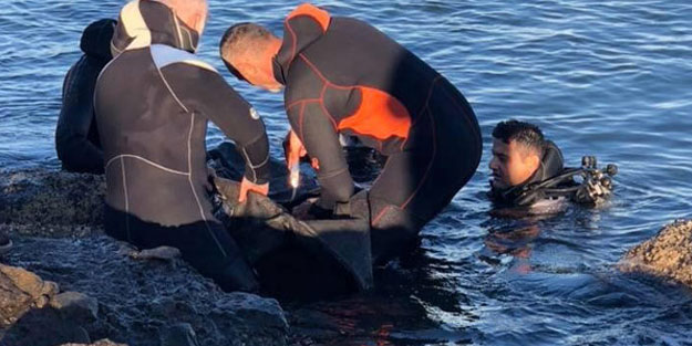 Giresun'da denize düşen gencin cesedine ulaşıldı