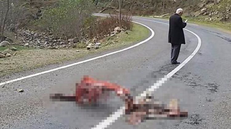Giresun’da görenler şaştı kaldı! Geriye sadece iskeleti kaldı