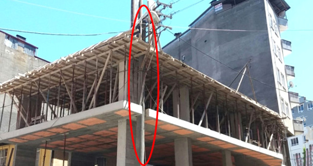 Giresun'da ilginç olay! Gören bir daha bakıyor