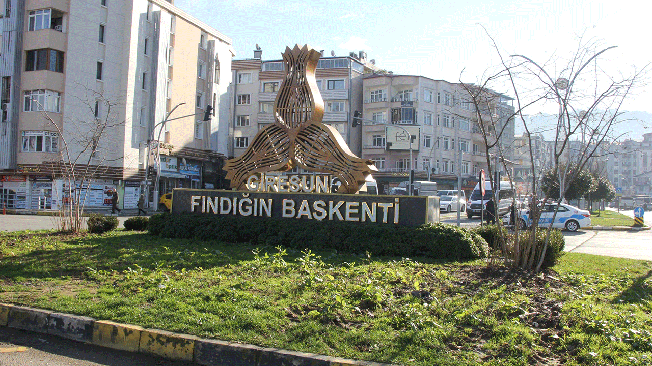 Giresun'da kavşaklar fındık ağaçlarıyla süslenecek!