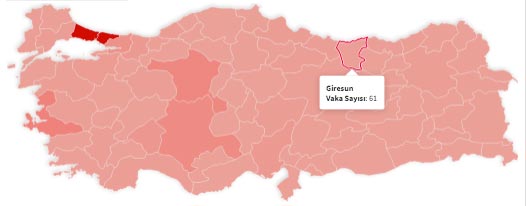 Giresun’da koronavirüsü vaka sayısı kaç? Giresun’da koronavirüs ölü sayısı kaç?