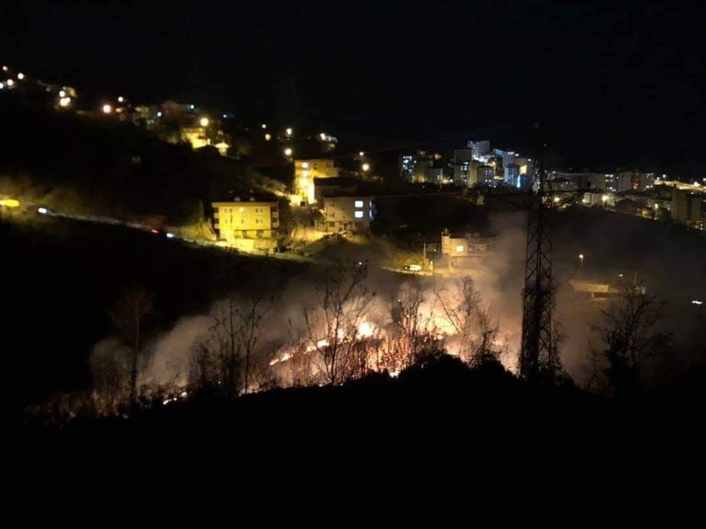 Giresun’da ormanlık alanda yangın 