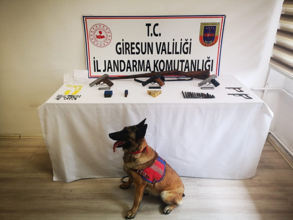 Giresun’da silah kaçakçılarına baskın 