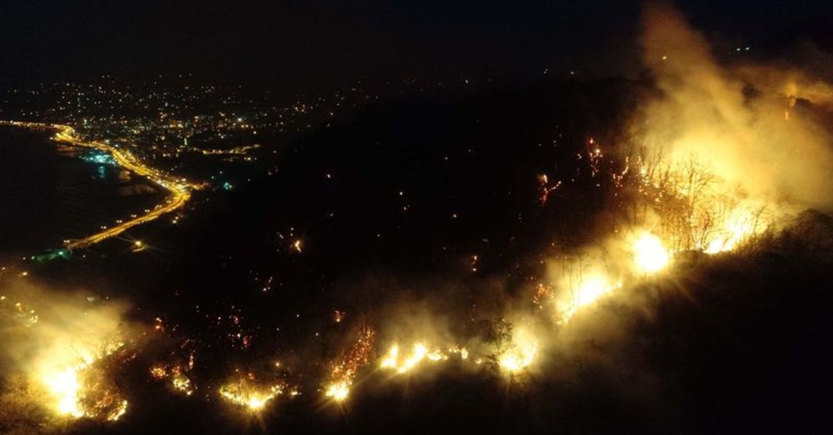 Giresun'da yangın! 9 dönümlük alan zarar gördü