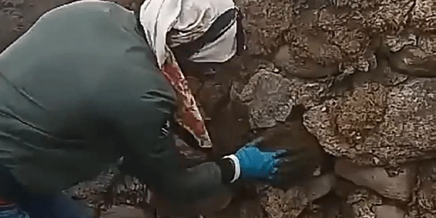 Giresun'daki o ilçede yüzyıllardır ısınmanın en önemli kaynağı! Kömür pahalı olunca çareyi onda buldular