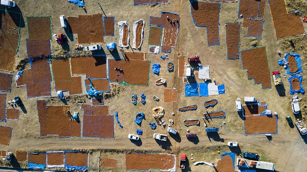 Giresunlu üreticiler bu işlem için 110 kilometre gitti