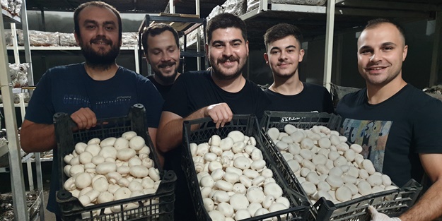 Girişimci kuzenler kurdukları işletmede kültür mantarı yetiştiriyor
