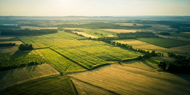 Gizemli bir şirket ve milyarderler buradan gizlice arsa ve arazi topluyor! Her yere ev dikeceler