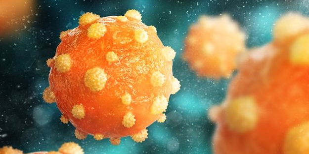 Gizemli virüsten ikinci ölüm!