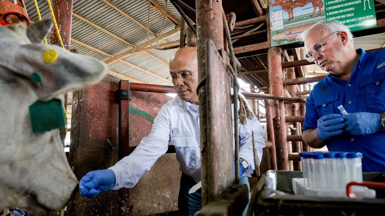 Gizli yayılan virüs: Pandemi krizine dönüşebilir!