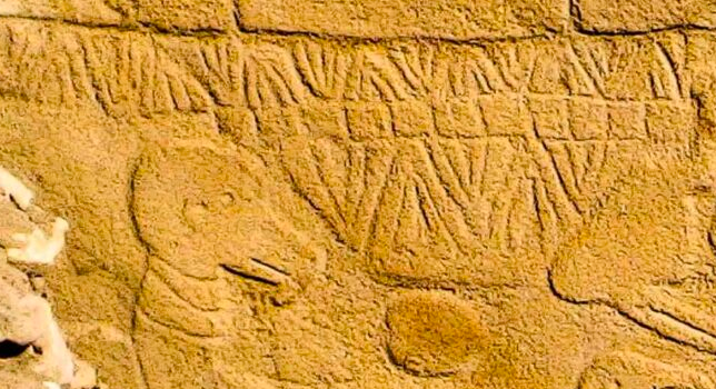 Göbeklitepe'de heyecanlandıran keşif! 12 bin yıl önce...